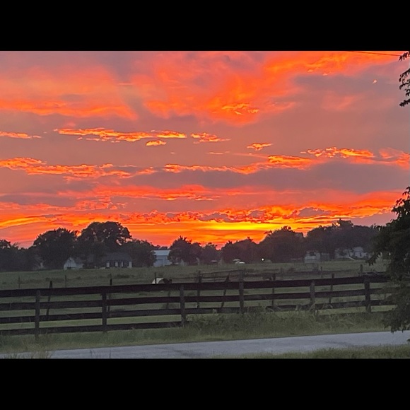 Meet your Posher, Robin - Picture 1 of 1